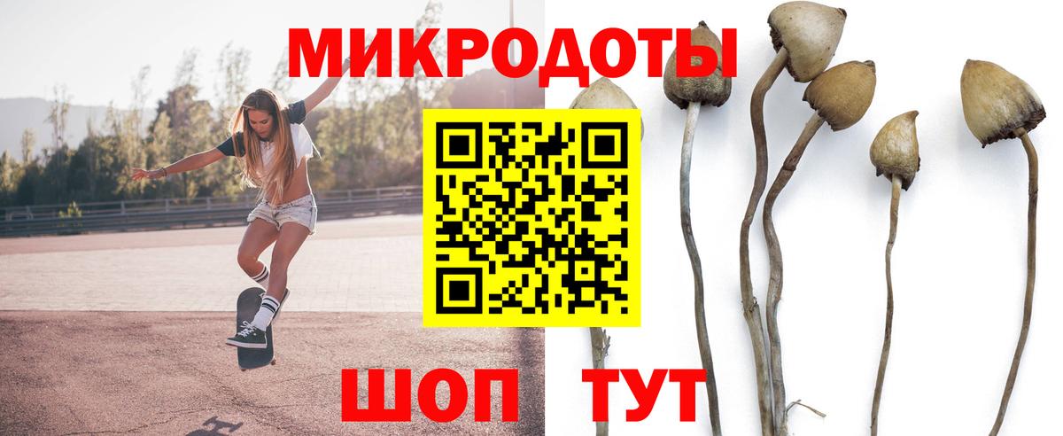 Галлюциногенные грибы Magic Shrooms Хабаровск