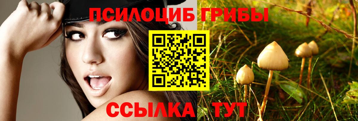 Галлюциногенные грибы прущие грибы  закладка  Псилоцибиновые грибы MAGIC MUSHROOMS  Хабаровск  Вход с VPN 